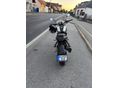 BENELLI LEONCINO 250 2023/10 - 2