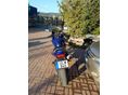 HONDA CB 600 F (HORNET) 2001/5 - 2
