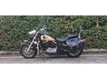 KAWASAKI VN 800 