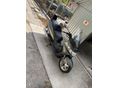 SUZUKI AN 400 BURGMAN 1999/11 - 2