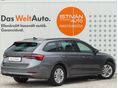 SKODA OCTAVIA 2023/4 - 2