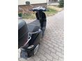 VESPA S 50 2011/6 - 6