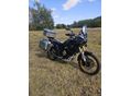 VOGE DS800X RALLY SHAD LUXURY TERRA ALU EDITION