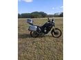 VOGE DS800X RALLY 2026/8 - 4