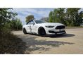 FORD MUSTANG Convertible 5.0 Ti-VCT V8 GT (Automata)