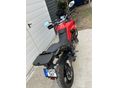 DUCATI MULTISTRADA 950 2019/11 - 4