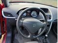 PEUGEOT 207 2010/9 - 6