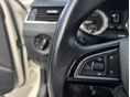 SKODA OCTAVIA 2020/6 - 30