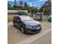 VOLKSWAGEN PASSAT VII Passat Variant R-Line CFG motor 130 KW