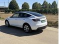 TESLA MODEL Y 2023/2 - 3