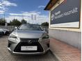 LEXUS NX 2019/12 - 6