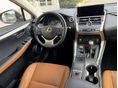 LEXUS NX 2019/12 - 7