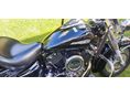 YAMAHA XVS 1100 DRAG STAR 2001/4 - 10