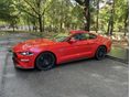 FORD MUSTANG 2021/10 - 2
