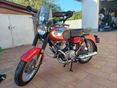 PANNONIA P21 