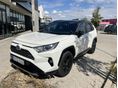 TOYOTA RAV 4 2019/3 - 4