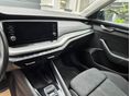 SKODA OCTAVIA 2021/6 - 6