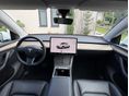 TESLA MODEL Y 2022/8 - 5