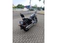 YAMAHA XV 1600 WILD STAR 2001/12 - 3