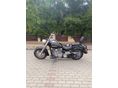 YAMAHA XV 1600 WILD STAR 2001/12 - 5