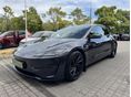 TESLA MODEL 3 Performance AWD (Automata)