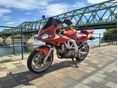 SUZUKI SV 650 S 2004 - 2