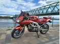 SUZUKI SV 650 S 2004 - 6
