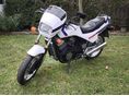 HONDA VT 500 E 1985/6 - 3