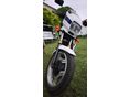 HONDA VT 500 E 1985/6 - 6