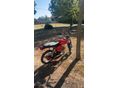 SIMSON S 51 N 1982/2 - 4