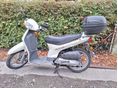 HONDA SH 50 