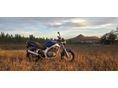 SUZUKI GS 500 E 