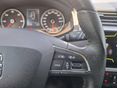 SEAT IBIZA 2018/11 - 8