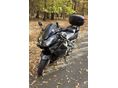 HONDA VFR 800 