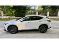 LEXUS NX 350h Elegance Plus CVT Mo-i első tulaj. 10 év hibrid garancia. 34eKM. ülésfűtés. sötétített ablak