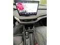 SKODA ENYAQ 2023/4 - 6