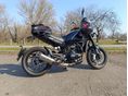 BENELLI LEONCINO 500 