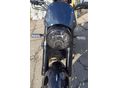BENELLI LEONCINO 500 2024/9 - 3