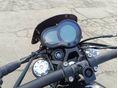 BENELLI LEONCINO 500 2024/9 - 6
