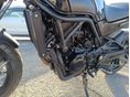 BENELLI LEONCINO 500 2024/9 - 9