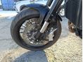 BENELLI LEONCINO 500 2024/9 - 10