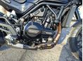 BENELLI LEONCINO 500 2024/9 - 11