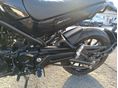 BENELLI LEONCINO 500 2024/9 - 12