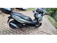 HONDA FORZA 350 2022/1 - 4