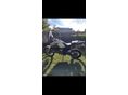 YAMAHA XT 660 Z Tenere