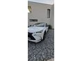 LEXUS NX 300h F Sport Plus Navi Panoramic CVT