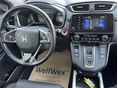 HONDA CR-V 2022/10 - 16