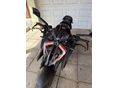 KTM 1290 SUPER DUKE R 2021/5 - 2