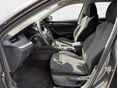 SKODA OCTAVIA 2023/5 - 9