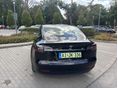 TESLA MODEL 3 2019/8 - 3